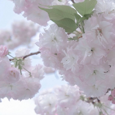 Furry插画人物结合兽圈社群